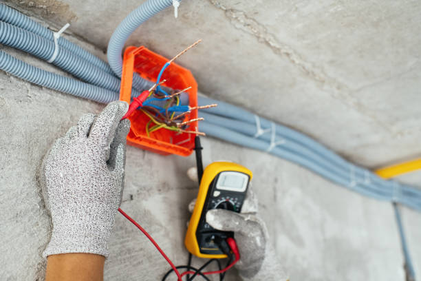 Best Generator Installation Services  in Horse Pasture, VA