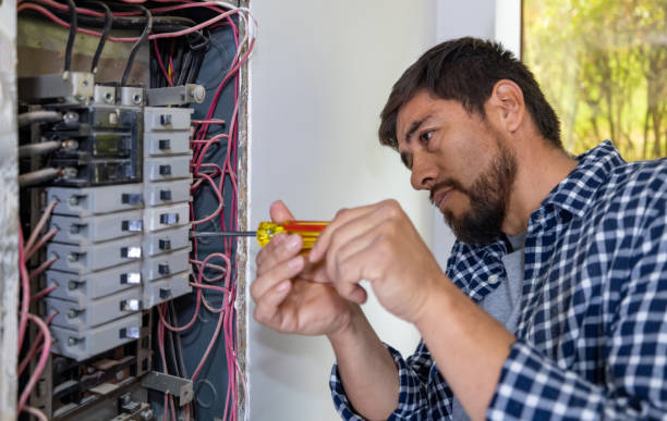 Best Electric Panel Repair  in Horse Pasture, VA